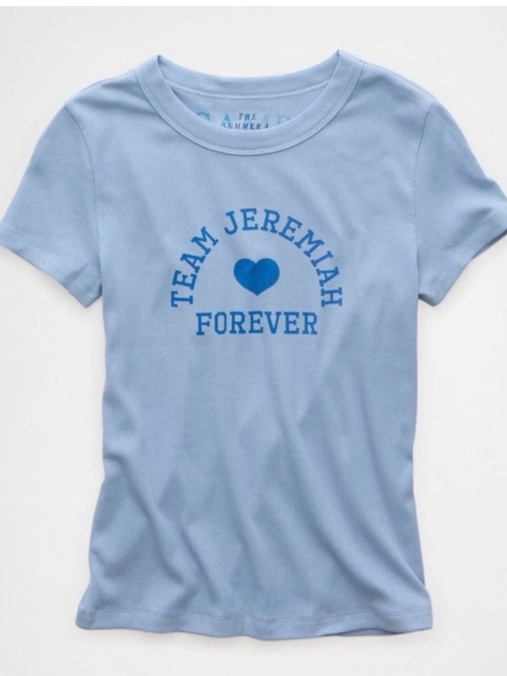 American Eagle Outfitters Light Blue Graphic Tee The Summer I Turned Pretty